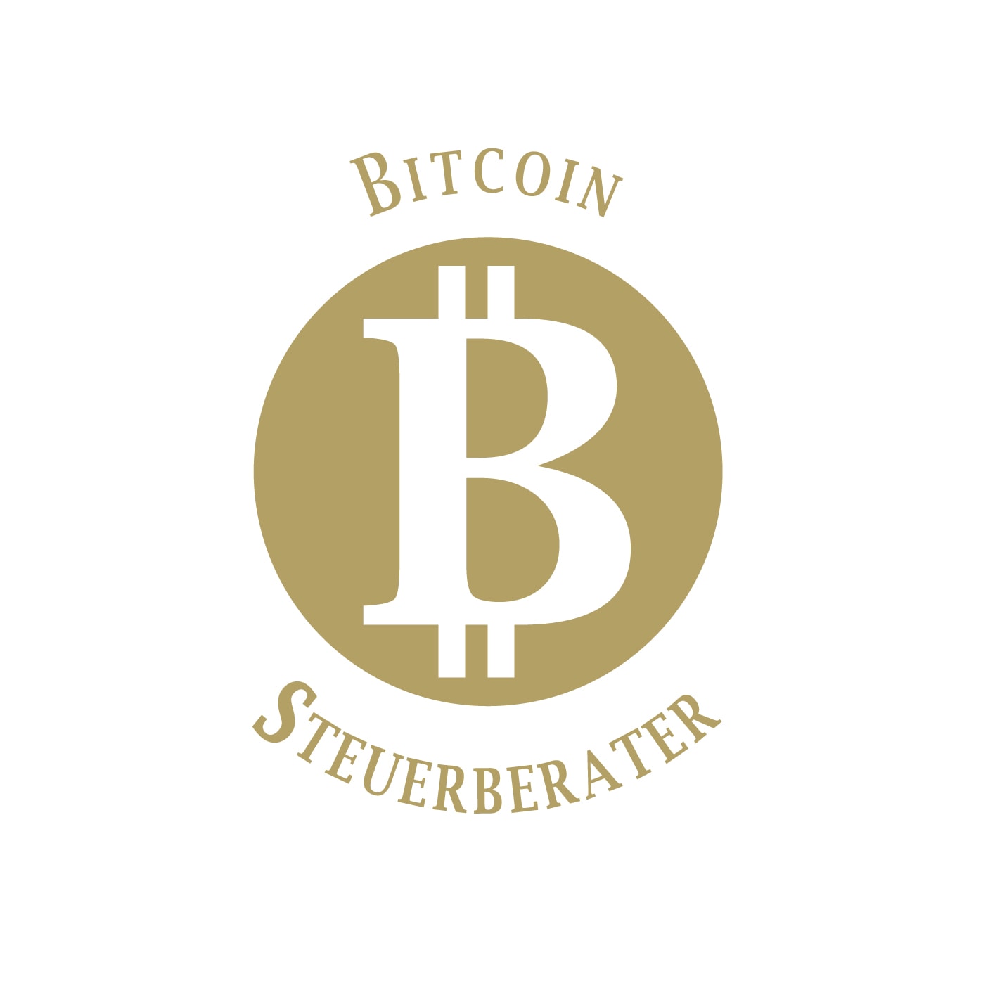 Matthias Steger Consulting StBerGmBH logo